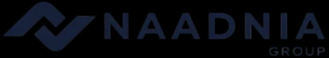 NaadniaGroup Logo